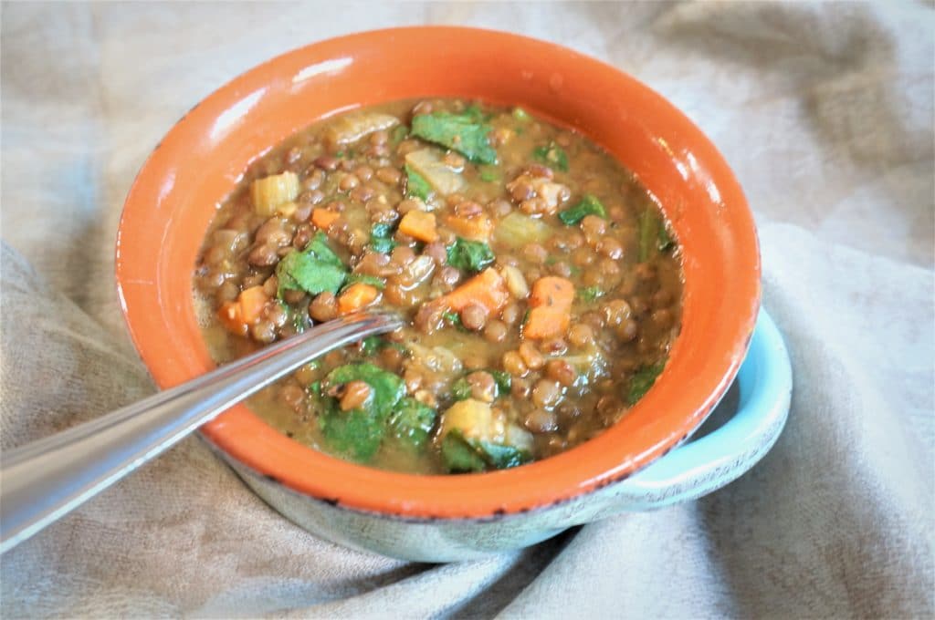 A healthy and delicious vegan brown lentil soup with veggies. Amazingly easy to make in the Pressure Cooker and perfect for a cold day! 